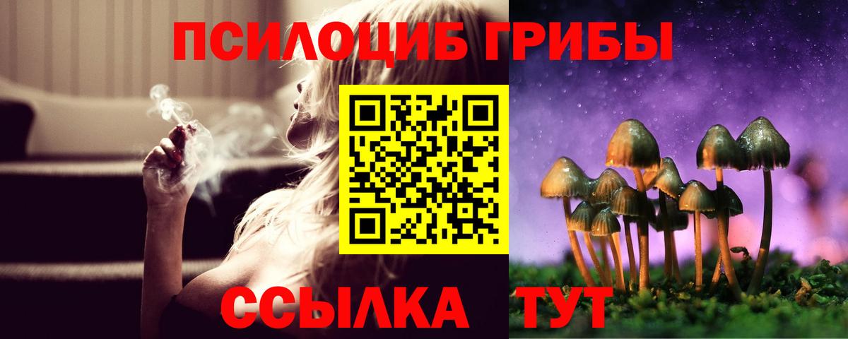 Псилоцибиновые грибы Psilocybe Качканар