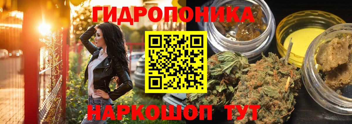 Каннабис план  Вход с VPN  Бошки марихуана LSD WEED  Шишки марихуана гибрид  Качканар 